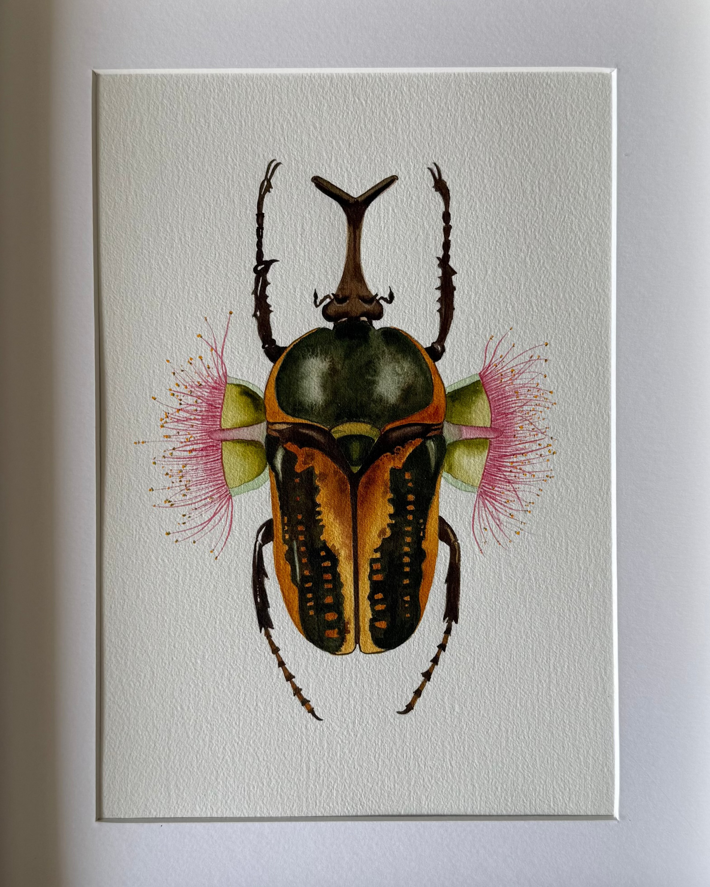 Floral Beetle
