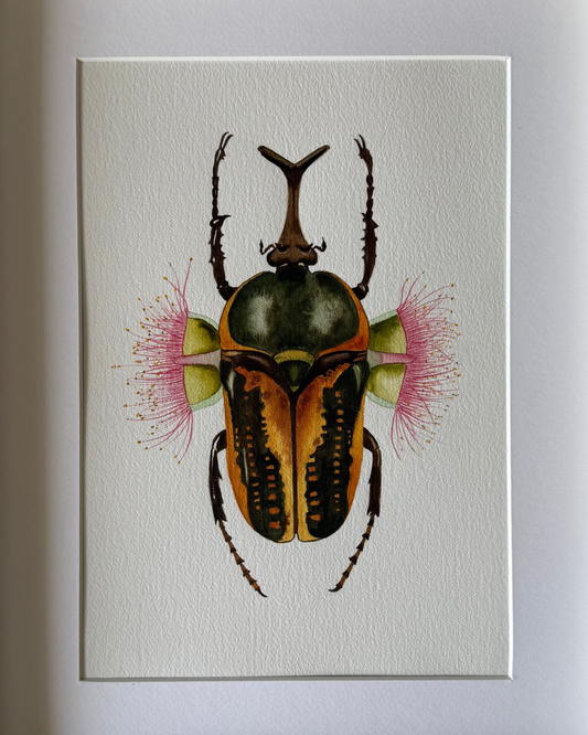 Floral Beetle