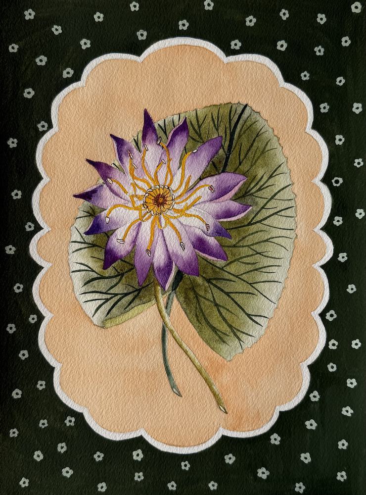 Purple Lotus