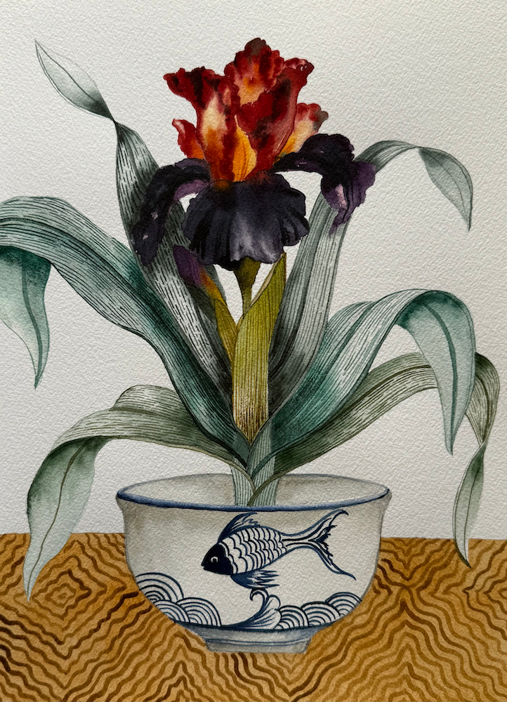 Iris In A Japanese Bowl
