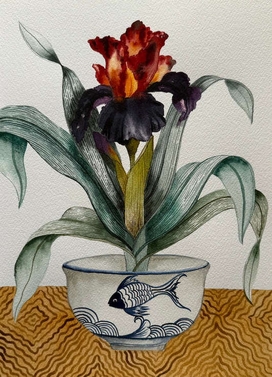 Iris In A Japanese Bowl