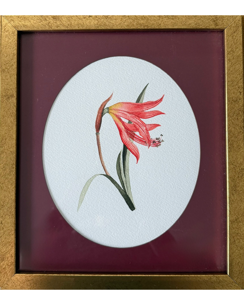 Delicate floral