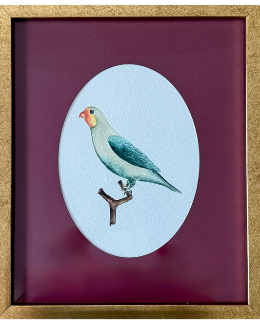 Chirpy Parrot