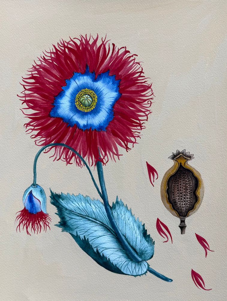 Happy Poppy